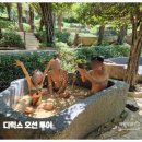 오션투어 이미지