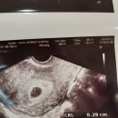 2019 여주 하프철인대회 후기