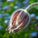 우리민화이야기 이미지