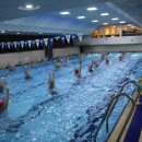 키즈쿠아 이미지