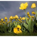 연세공인중개사사무소 이미지