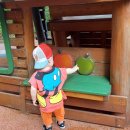 자라 돌아기 미키 반팔티셔츠 후기 (+자라세일 돌아기 아이템 장바구니 담기)