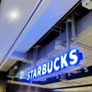 스벅 프렌치 바닐라 라떼 후기 스타벅스 신메뉴 맛 칼로리 이벤트