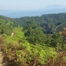 남해-191 이미지