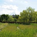 운정호수공원 이미지