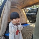왕산로3L-8 | 2026년 시즌 "시캠" 을 알리는 알맥스랜드