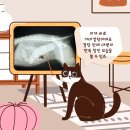 고래동물병원 이미지