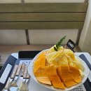 차일디쉬 | 성수 차일디쉬 가성비 끝판왕 생망고빙수 맛집 (+소금붕어빵)