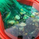 와이펜션 이미지