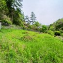 검봉산(춘천, 530m)