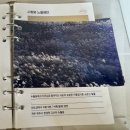 스테이 안도감 제주 이미지