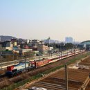 H4615 이미지