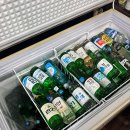 기장꼼장어 이미지