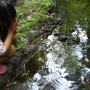 숲해설체험 이미지