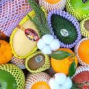 유스테이(U STAY) 이미지