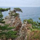 해파랑길 42코스(죽도정 입구-하조대 해변)를 다녀오다.
