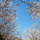 황령산순환도로 이미지