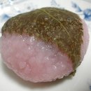 모찌