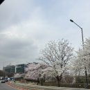 엘샤 | 뮤지컬 데스노트 관람 후기 | 김준수, 고은성 페어 캐스팅 추천 디큐브아트센터 시야