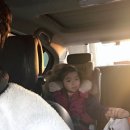 연세패밀리의원 이미지