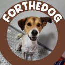 뽀더독(FORTHEDOG) 이미지