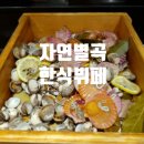 진미가한식부페 이미지