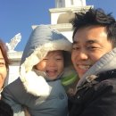 웅진한우 이미지