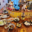 쿠시냥 | 인천 계양구 맛집 - '쿠시냥', 일본 감성 맛, 오사카의 맛을 느낄 수 있는 곳, 맥주와 카츠가 맛있는 곳
