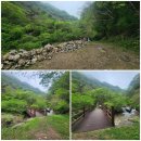오봉산 칼바위 주차장 화장실 | 전남 보성 오봉산 칼바위주차장 최단 등산코스 원점회귀