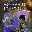 건강나라 - 김천시 자산로 82 | 울산 자수정동굴나라 보트 후기ㅣ예약·가격·소요시간· 꿀팁까지 완벽정리