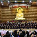 대자유치원 이미지