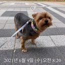 개맑음 이미지