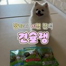 견슐랭 | 견슐랭 식물성 단백질 콩고기 강아지 간식 후기