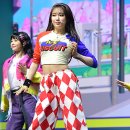 포토조아 이미지