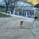 아느칸 家 이미지
