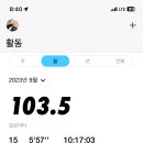 김여주피자 이미지