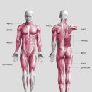 해승약국 이미지