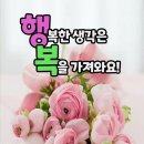 움짤 모음 이미지