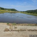 보성읍사무소앞 이미지