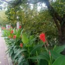 유앤아이부동산공인중개사사무소 이미지