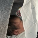 씨유수원제일좋은점 | 수원 산후도우미 솔직 후기 : 정말 감사했습니다...