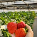 양평농협하나로마트(옥천점) 이미지