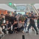 팀하운드광명주짓수 네이버블로그