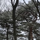 해파랑길 36코스 바우길 08구간 이미지