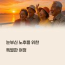 파라다이스여관 | 2025년 어르신 맞춤형 투어 프로그램 BEST 10: 안전과 즐거움을 동시에!