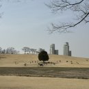 젤라떼리아피오니 이미지