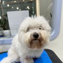 Mong's(몽'스) 이미지