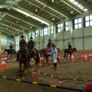 영천시운주산승마조련센터 이미지