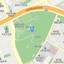 2023 봄, 인천 자유공원 벚꽃 이미지