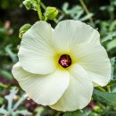 피자스쿨 상무점 이미지